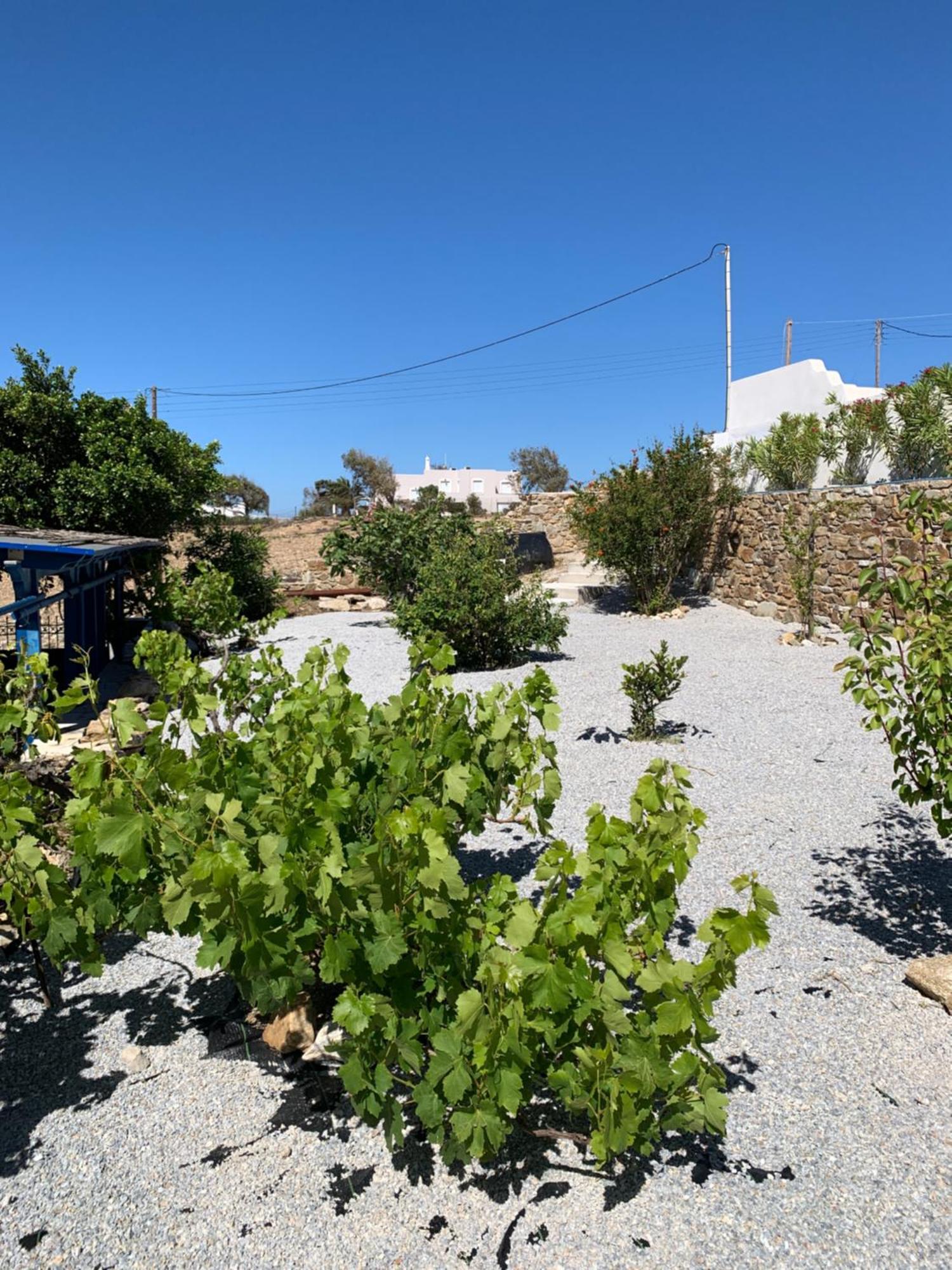 Of Roses In Naxos - Private With Pool * Naxos City