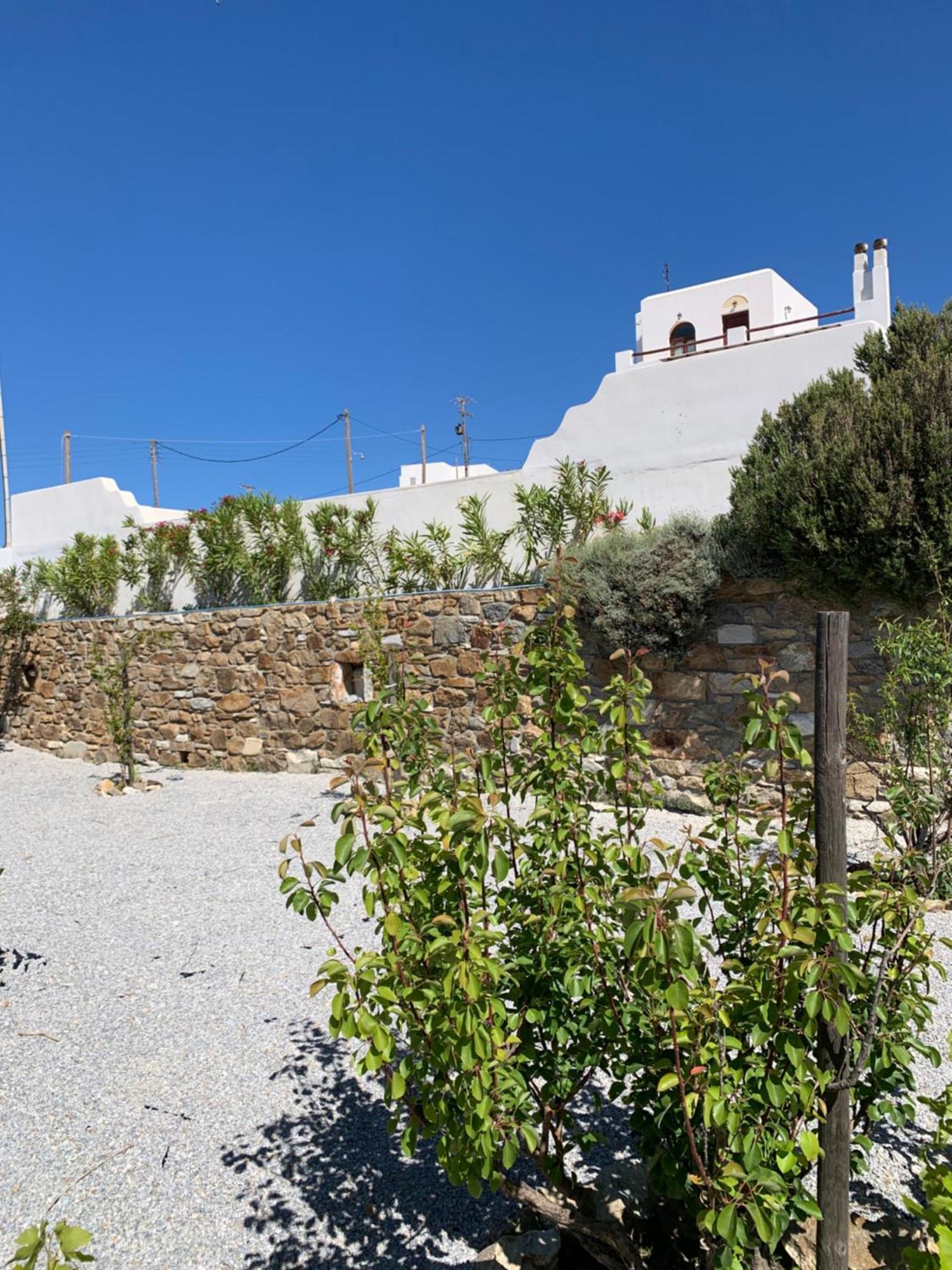 Of Roses In Naxos - Private With Pool *